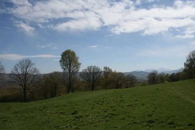 Fântânița Călugărului - Vara 2