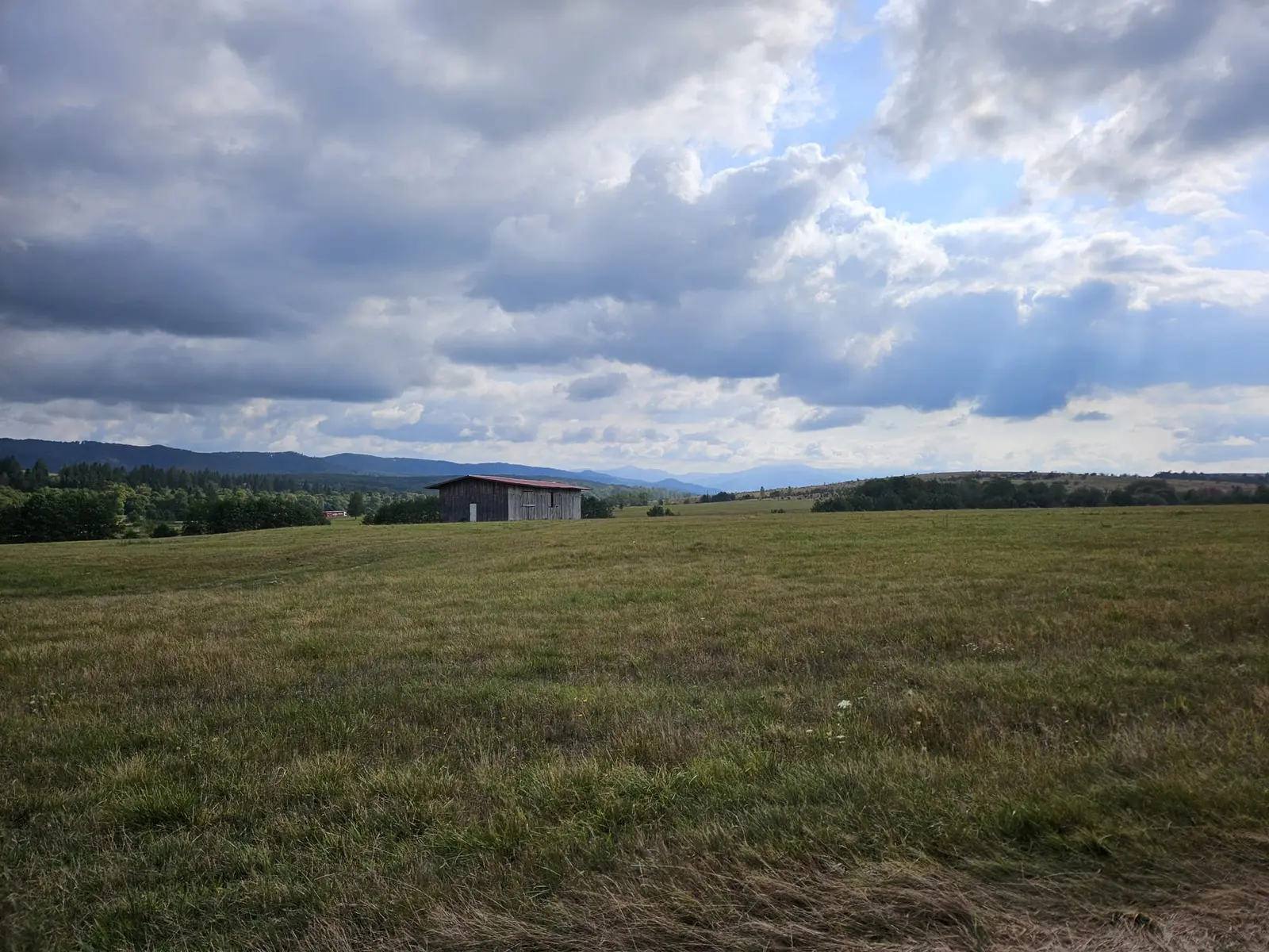La Dumbrava Foto 17