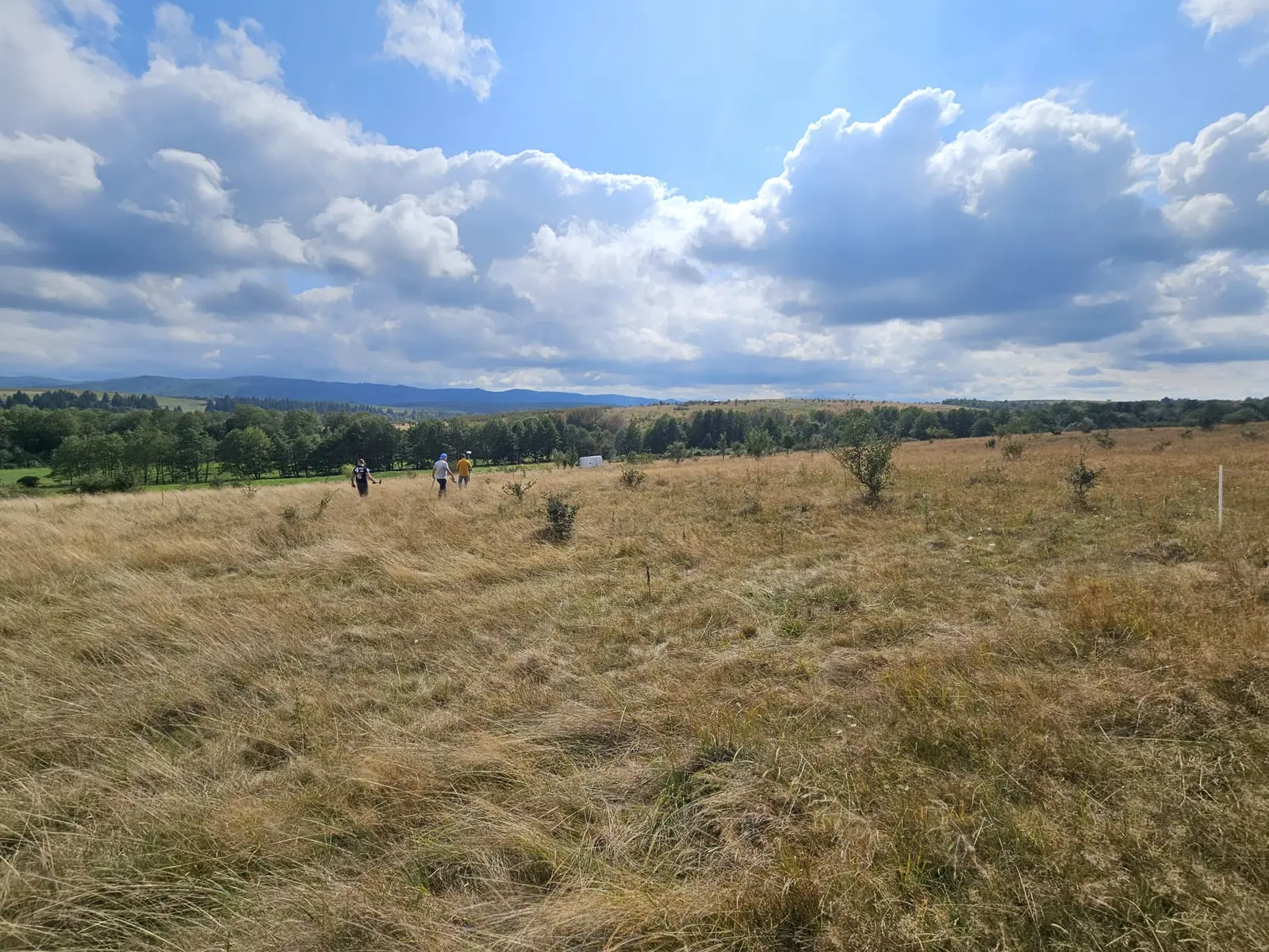 La Dumbrava Foto 23