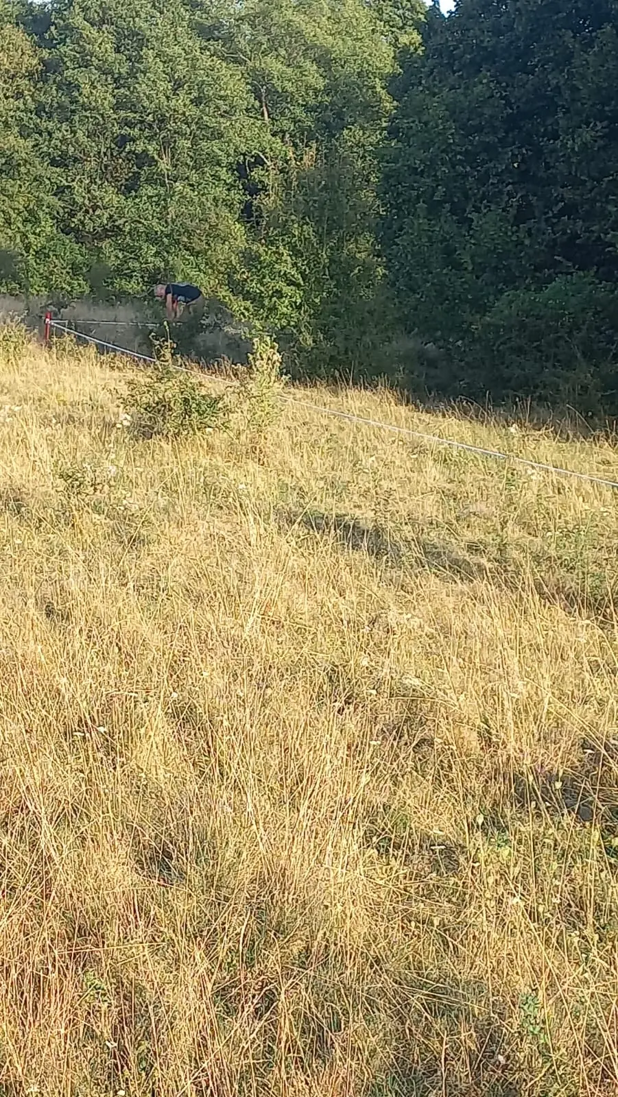 La Dumbrava Foto 30
