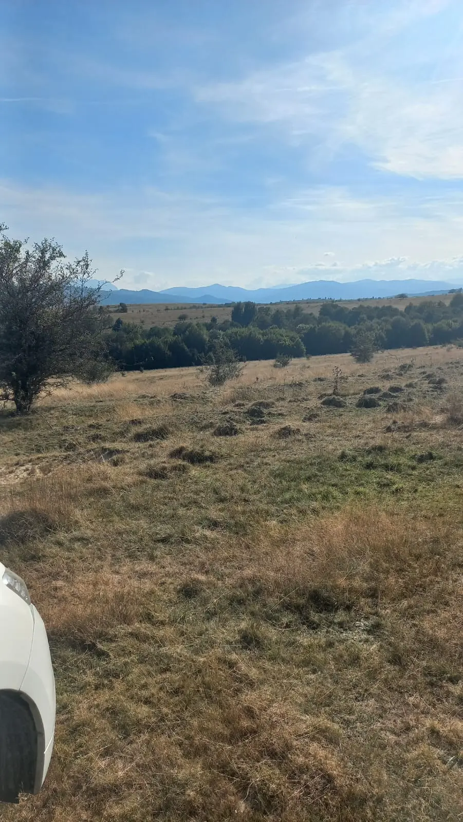 La Dumbrava Foto 31