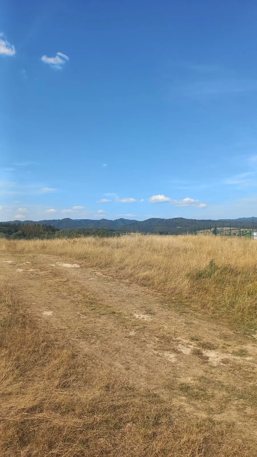 La Dumbrava Foto 29