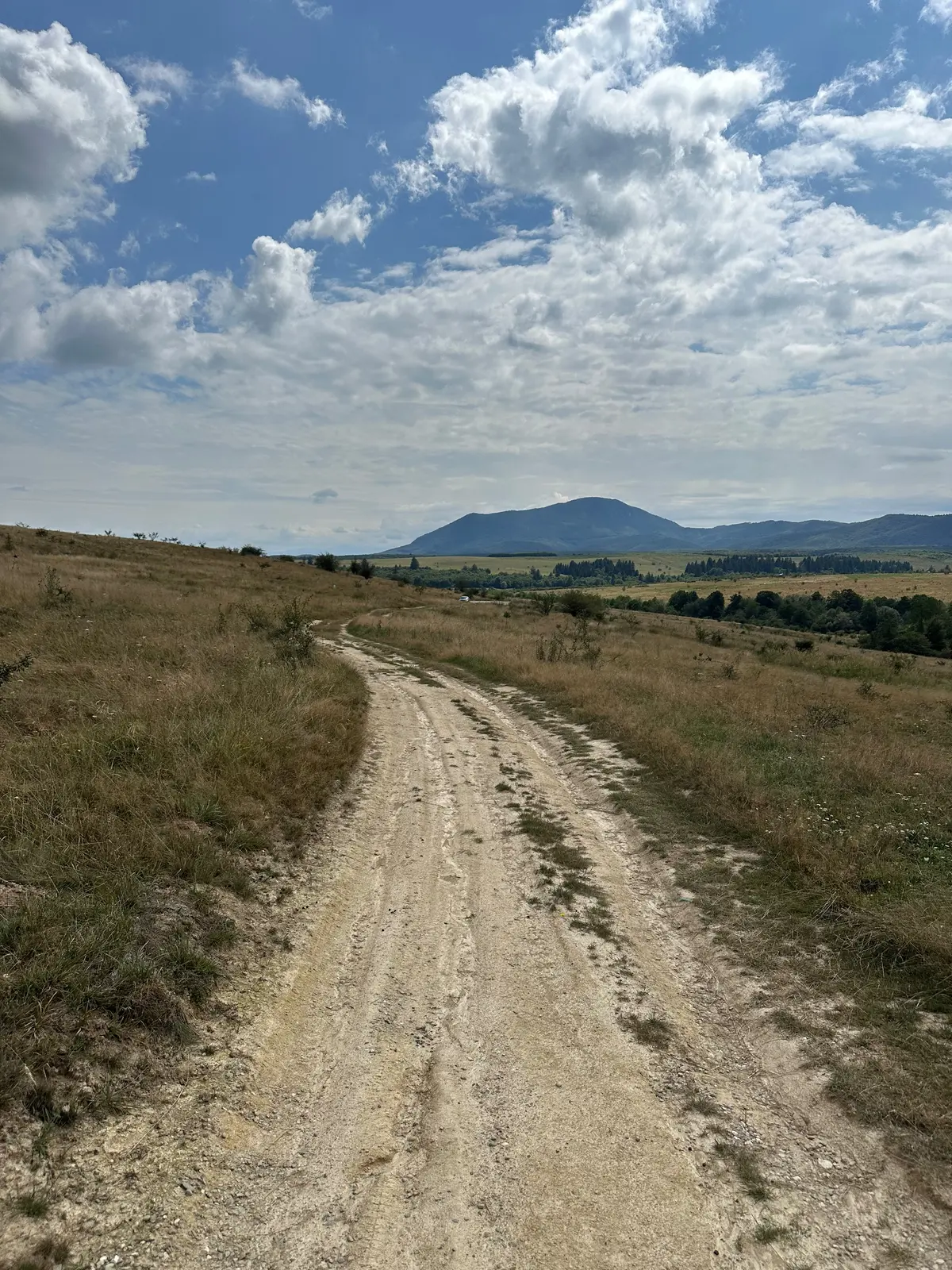 La Dumbrava Foto 1