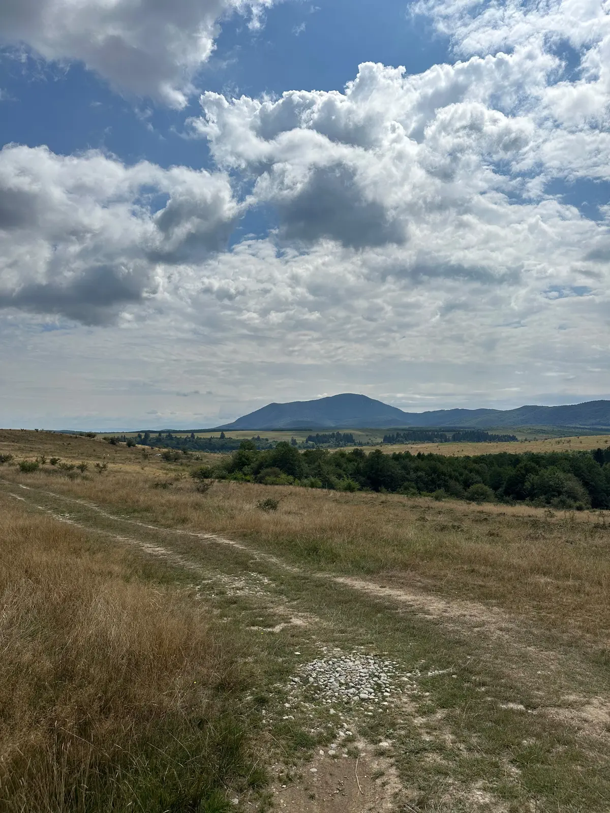 La Dumbrava Foto 2