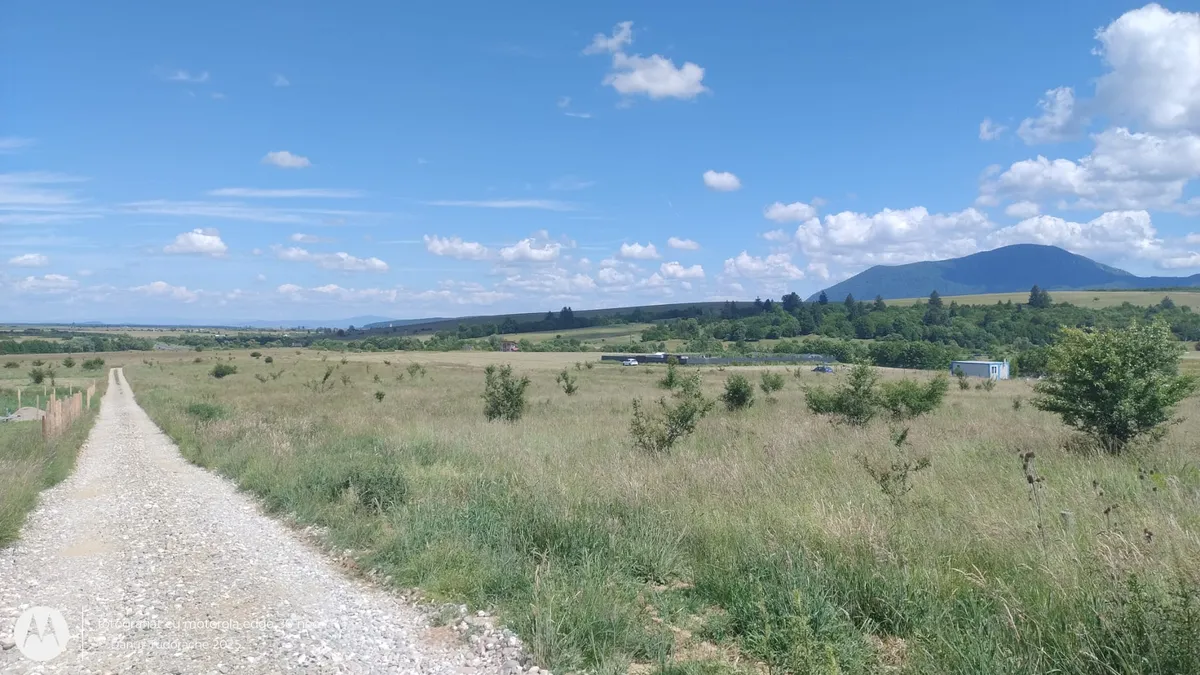 La Dumbrava Foto Nou 6